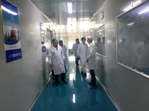 華中農(nóng)業(yè)大學(xué)領(lǐng)導(dǎo)蒞臨菲朗生物工廠參觀交流